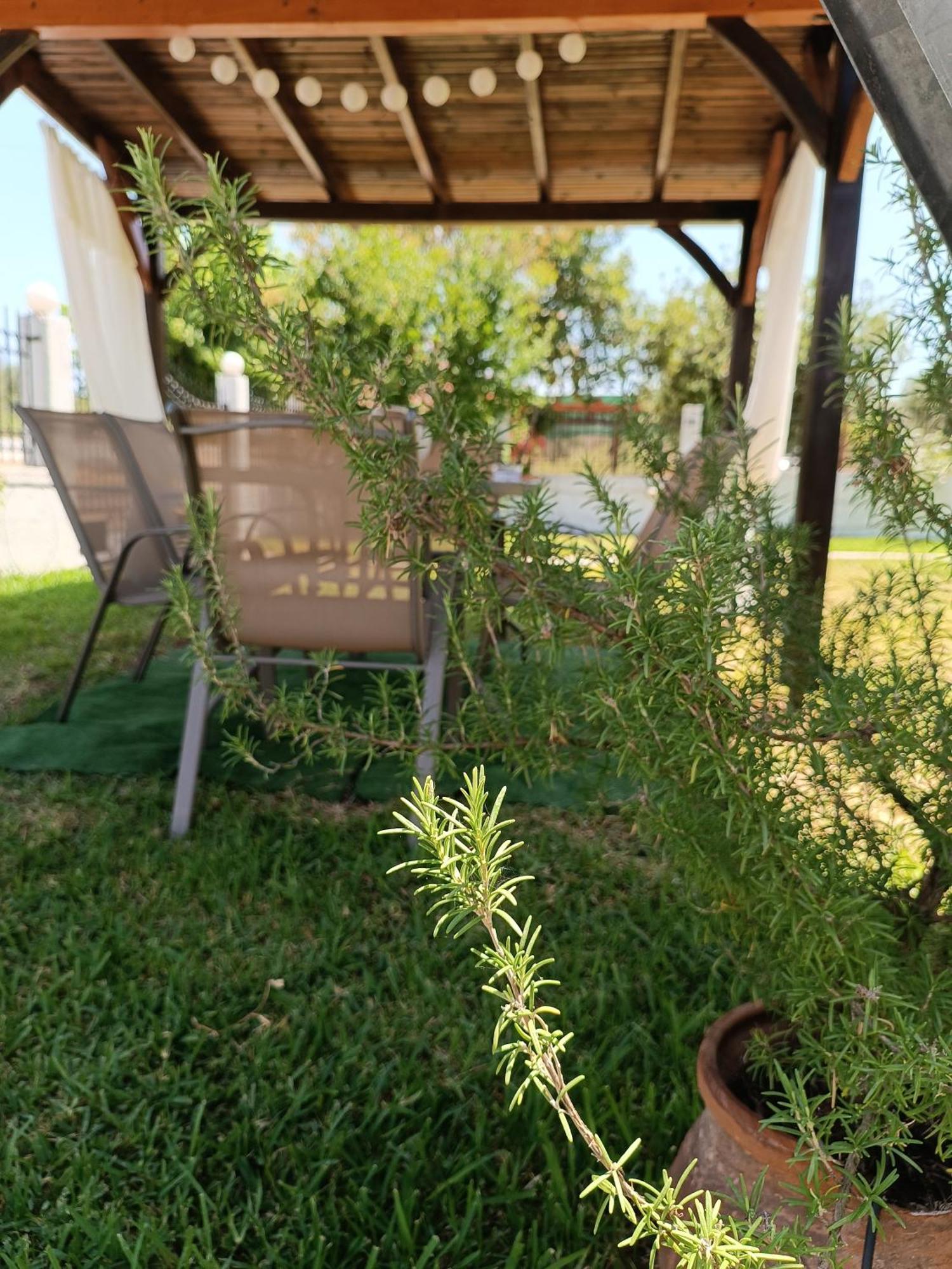 Evi'S Home Όρμος Παναγιάς Εξωτερικό φωτογραφία